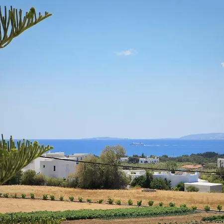 Aegean White *